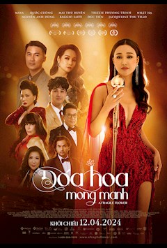 ĐÓA HOA MONG MANH - A FRAGILE FLOWER